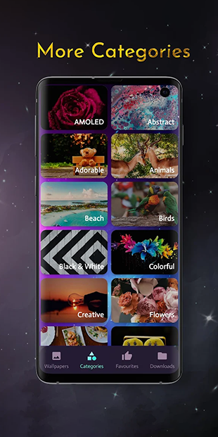 Project Preview