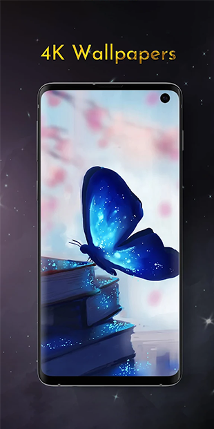 Project Preview